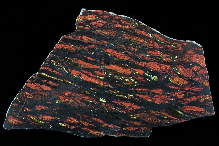 Polished Tiger Iron Stromatolite - ( Billion Years) #72915